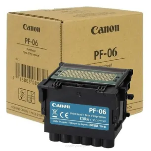 PF06