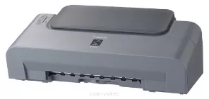 IP1300
