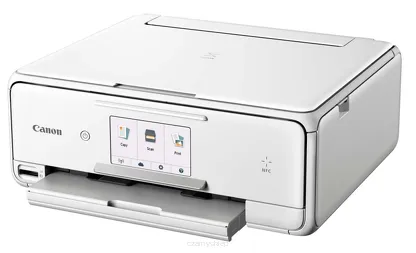 TS8051