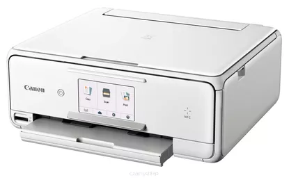 TS8051