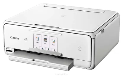 TS8051