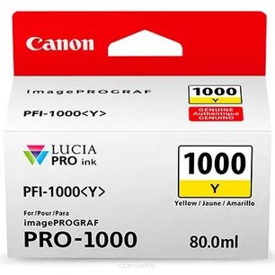 PFI1000