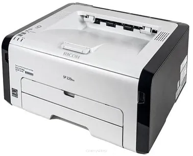 SP201