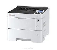 EcoSys PA5500