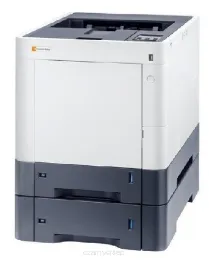 P-C3061DN